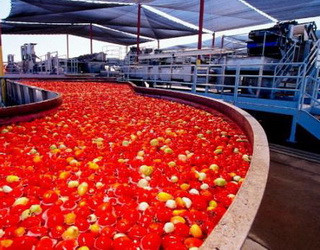 ЄІБ може профінансувати проект з переробки томатів в Україні